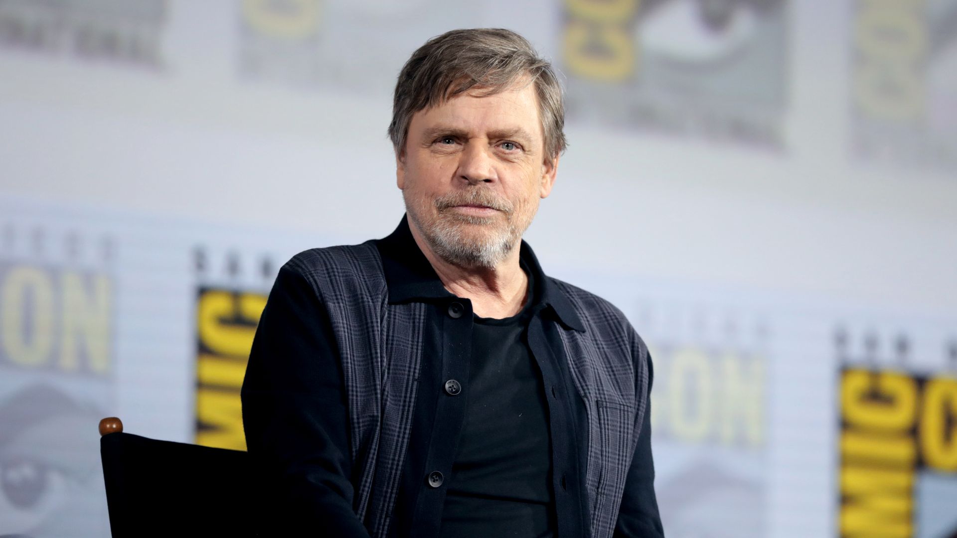 File:Mark Hamill (48419236062).jpg