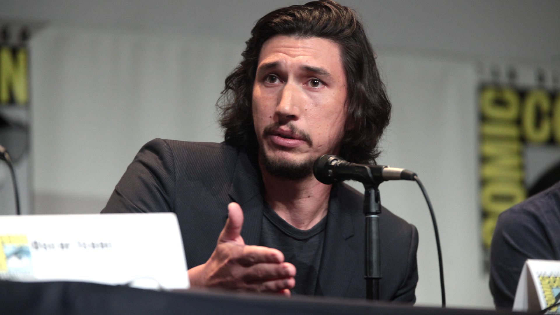 File:SDCC 2015 - Adam Driver (19492481500).jpg