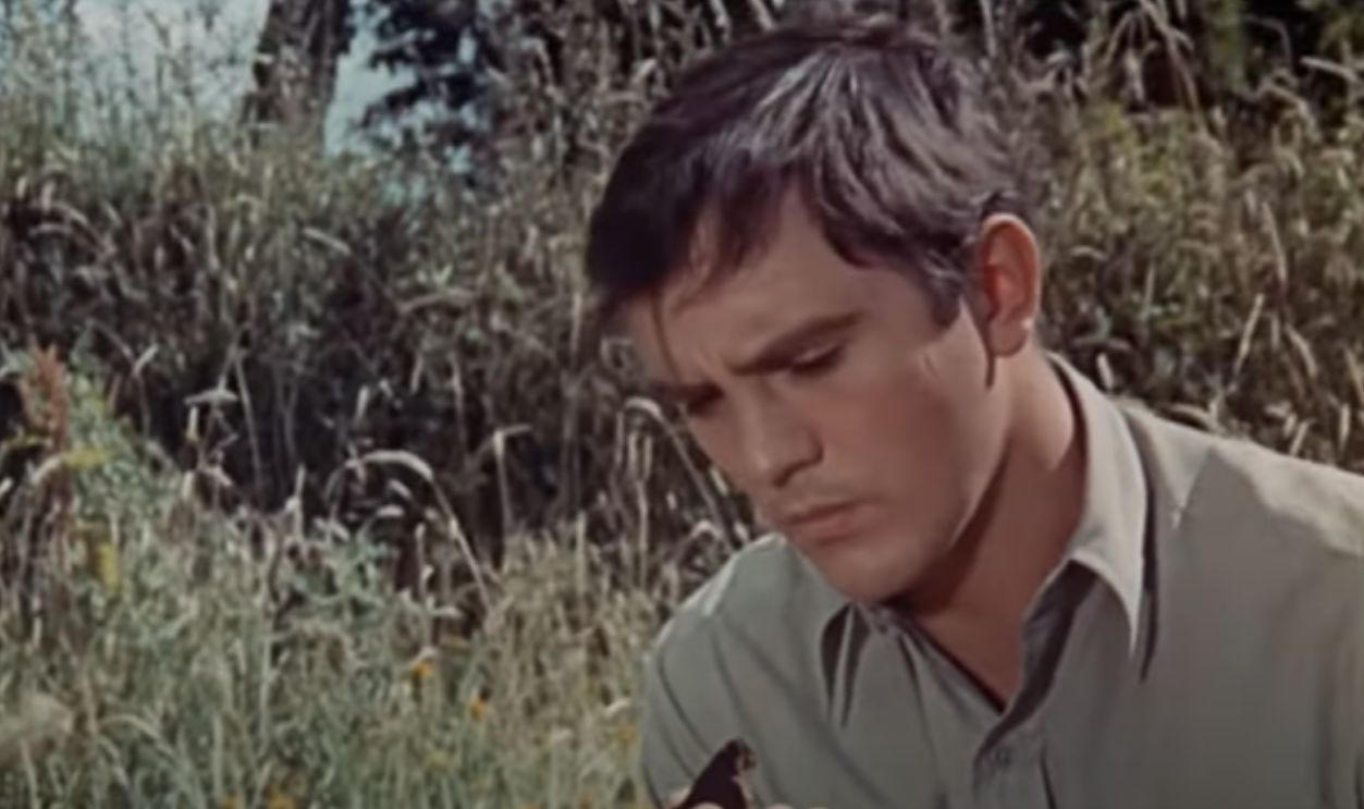Screenshot from The Collector (1965)