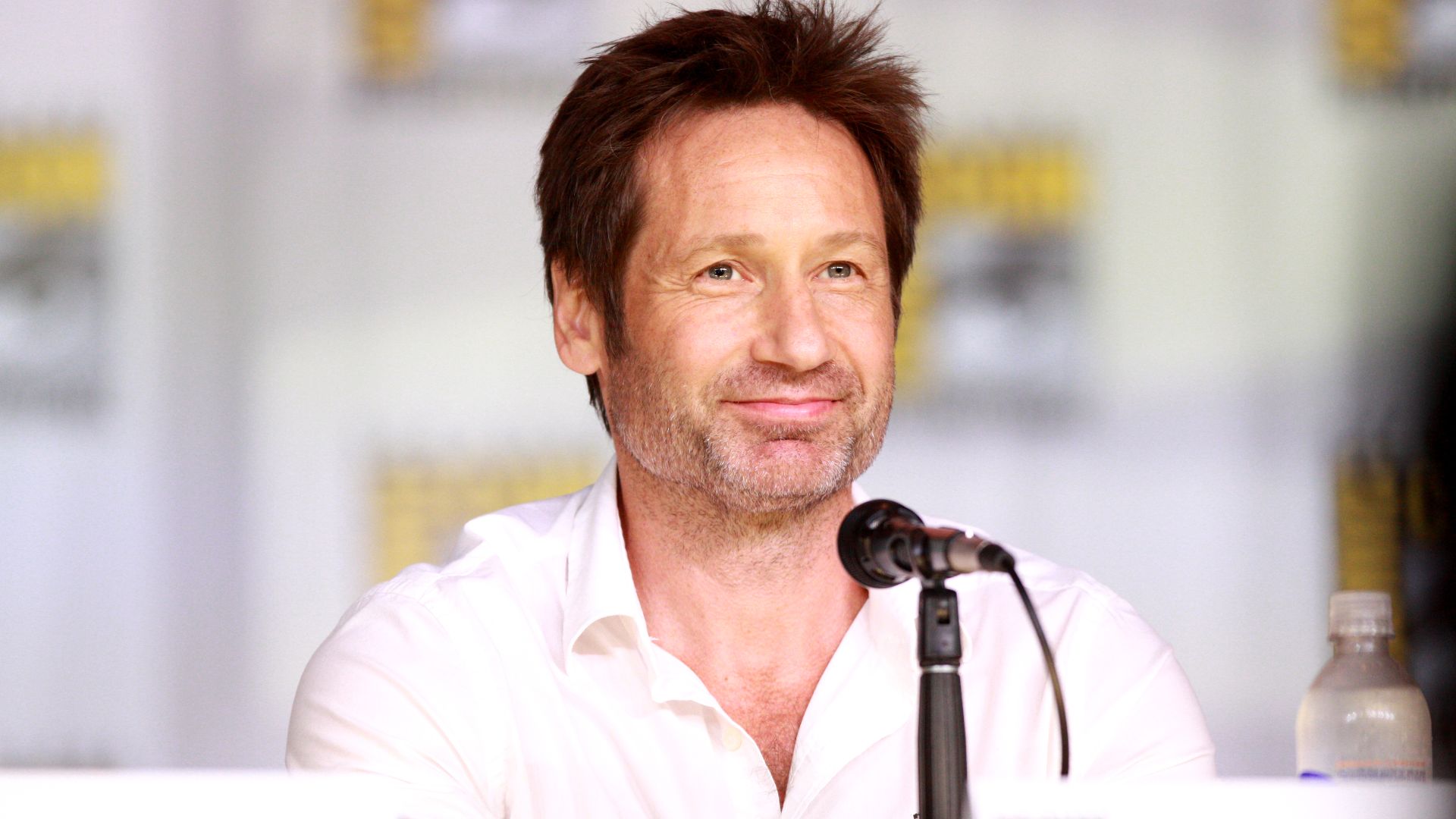 File:David Duchovny (9347347442).jpg