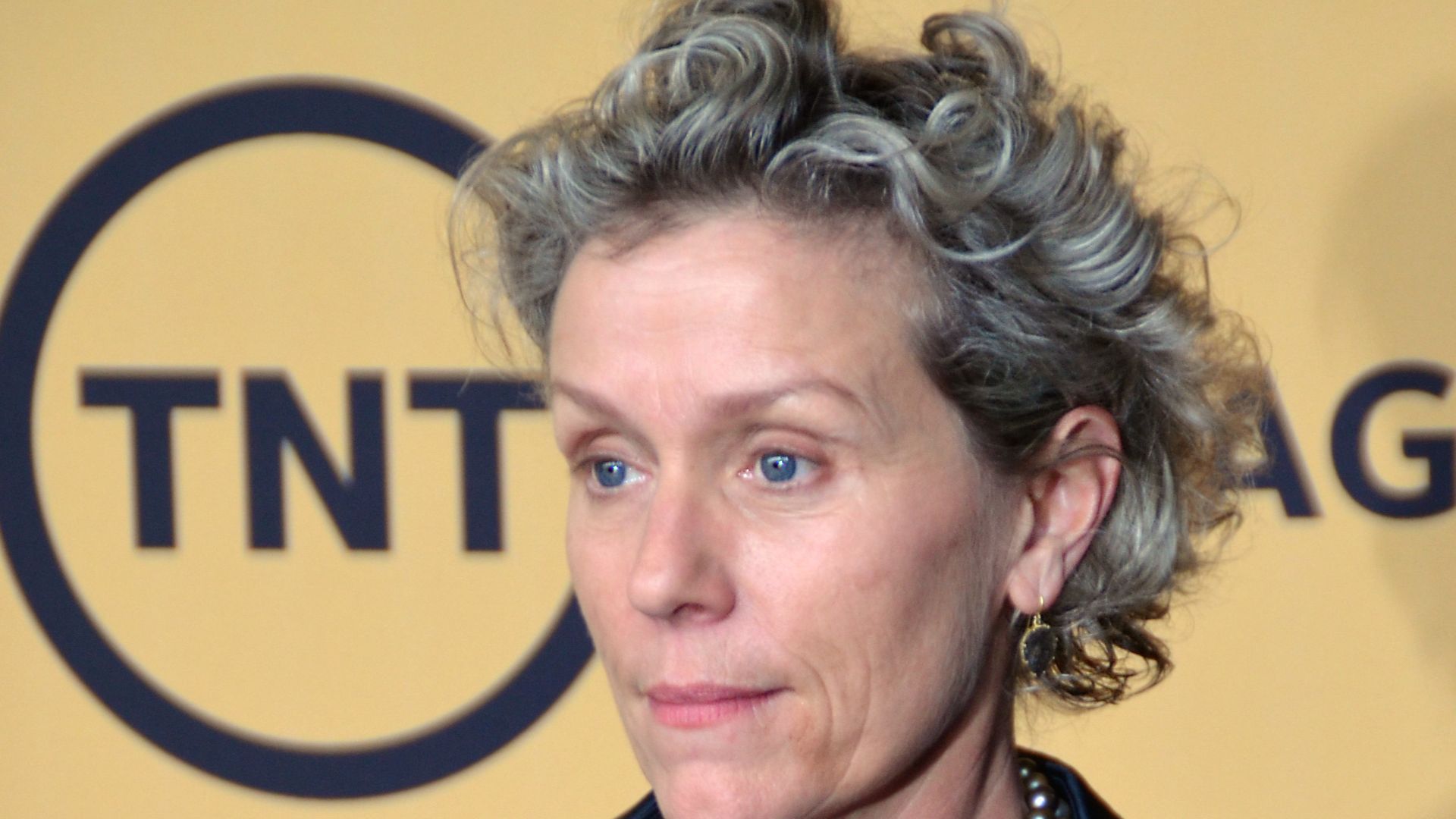 File:Frances McDormand 2015 (cropped).jpg