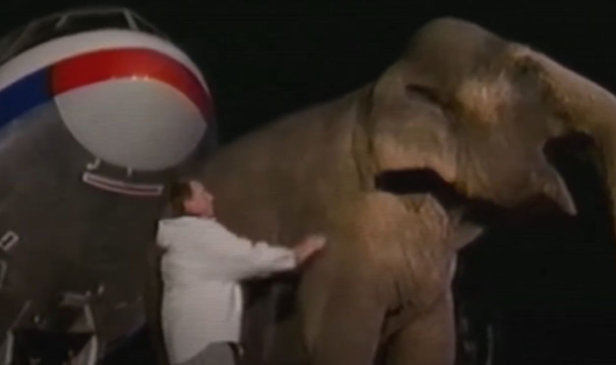 Screenshot from Man vs. Beast (2003)