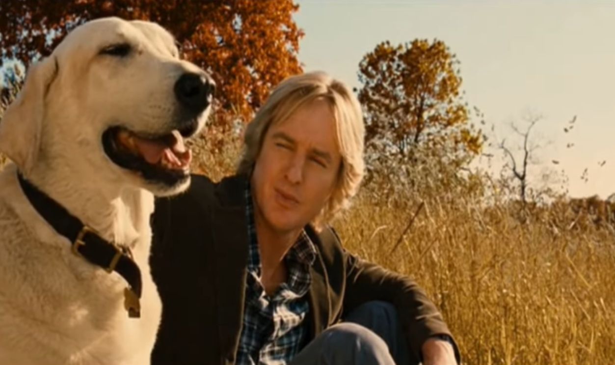 Untitled Design - 2025-09-12T173503.644