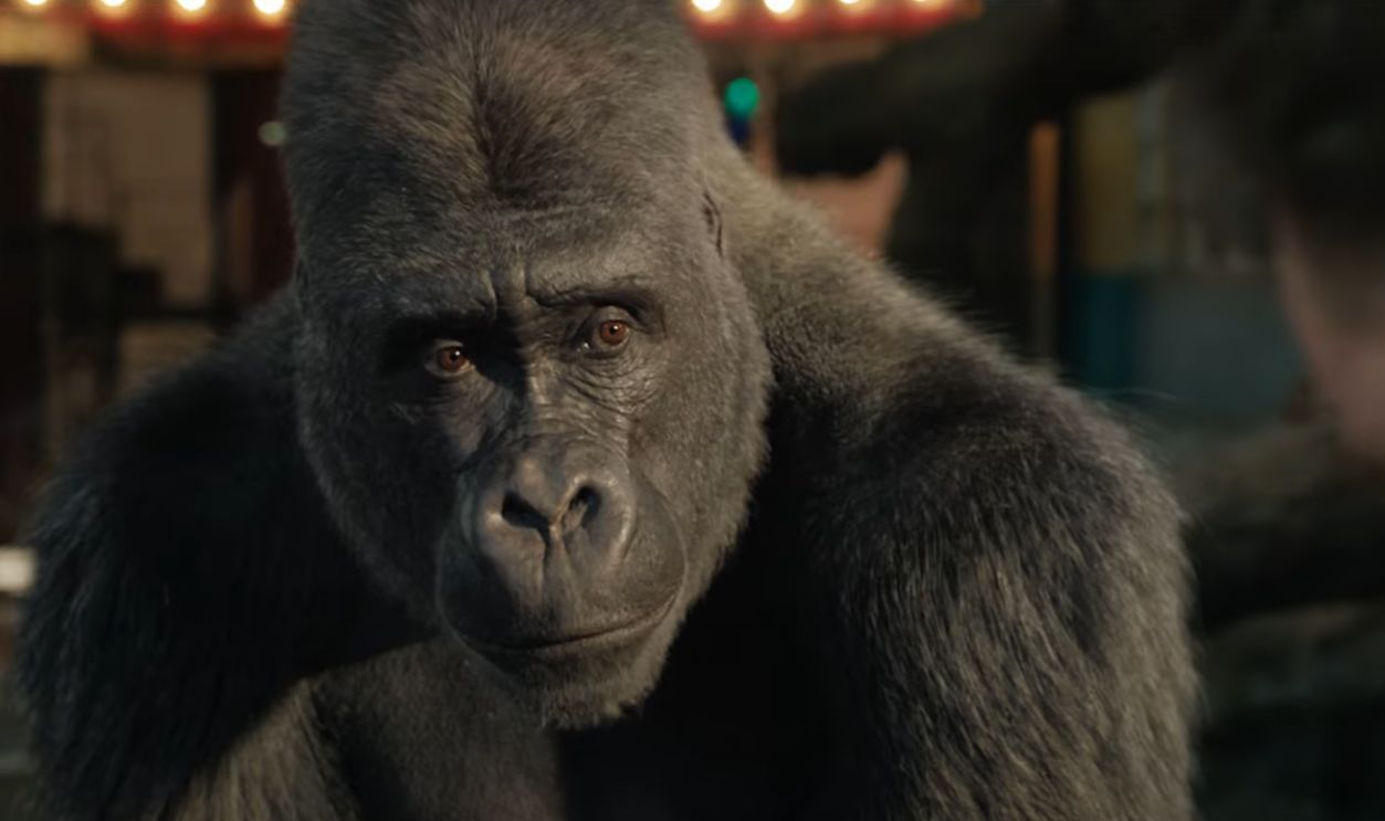 Screenshot from The One and Only Ivan (2020)