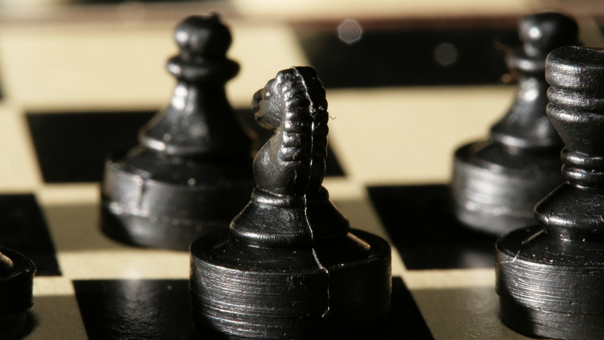 File:Chess knight 0982.jpg