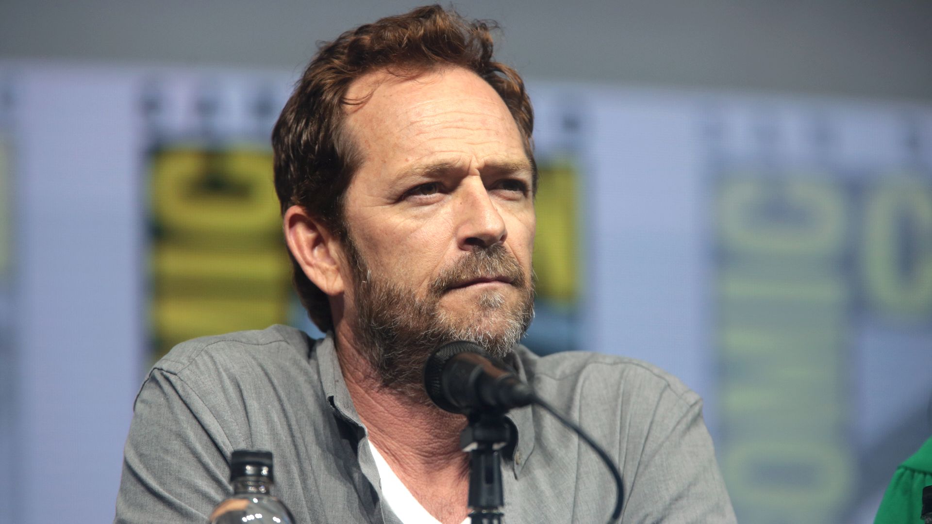 File:Luke Perry (42003749640).jpg