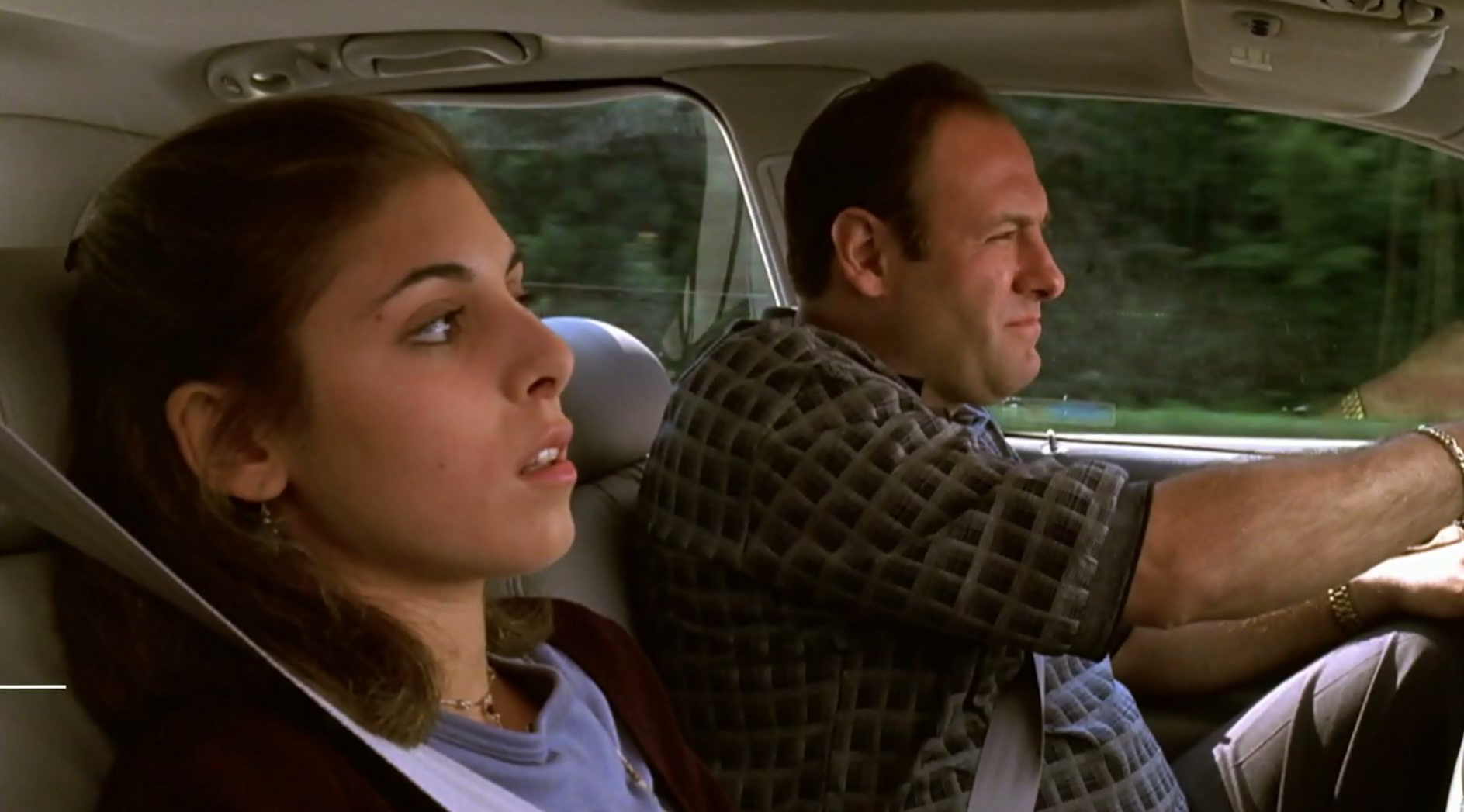 File:Meadow and Tony Soprano (The Sopranos Family Tree).jpg