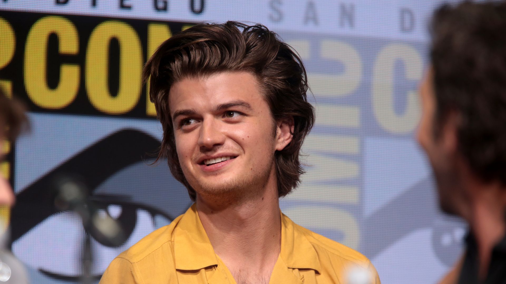 File:Joe Keery (36078914261).jpg