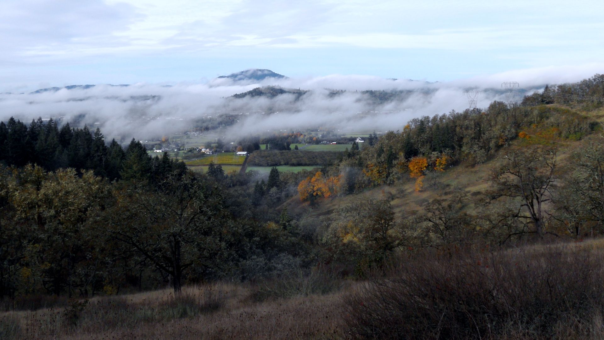 File:Willamette Valley fog.JPG