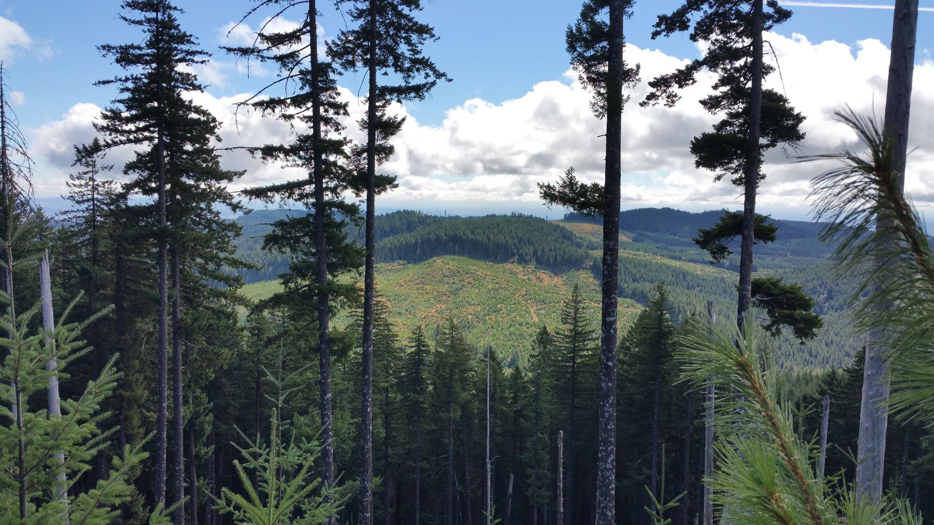 File:Nestucca River National Back Country Byway (24461138440).jpg