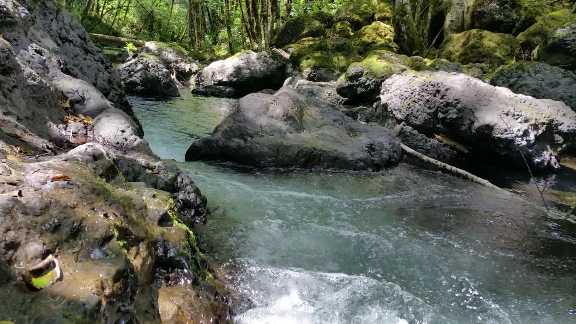 File:Nestucca River National Back Country Byway (24663136471).jpg