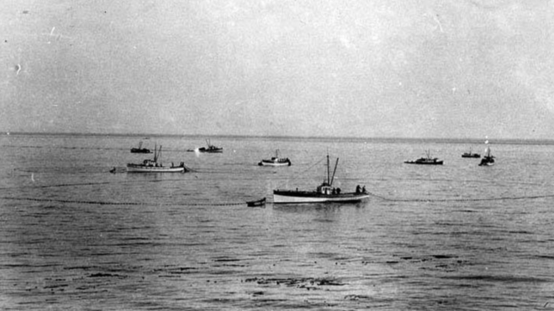 File:Purse seining, Puget Sound, Washington, ca 1920 (INDOCC 395).jpg
