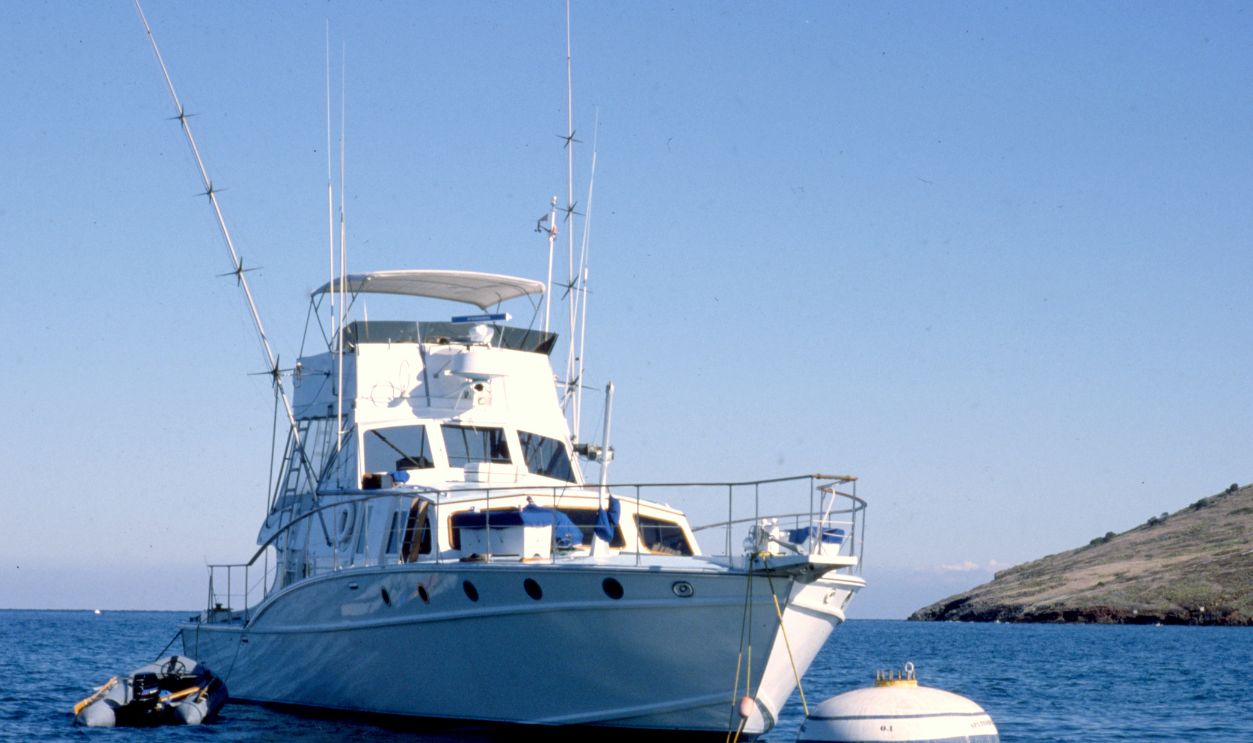 Splendor Natalie Wood