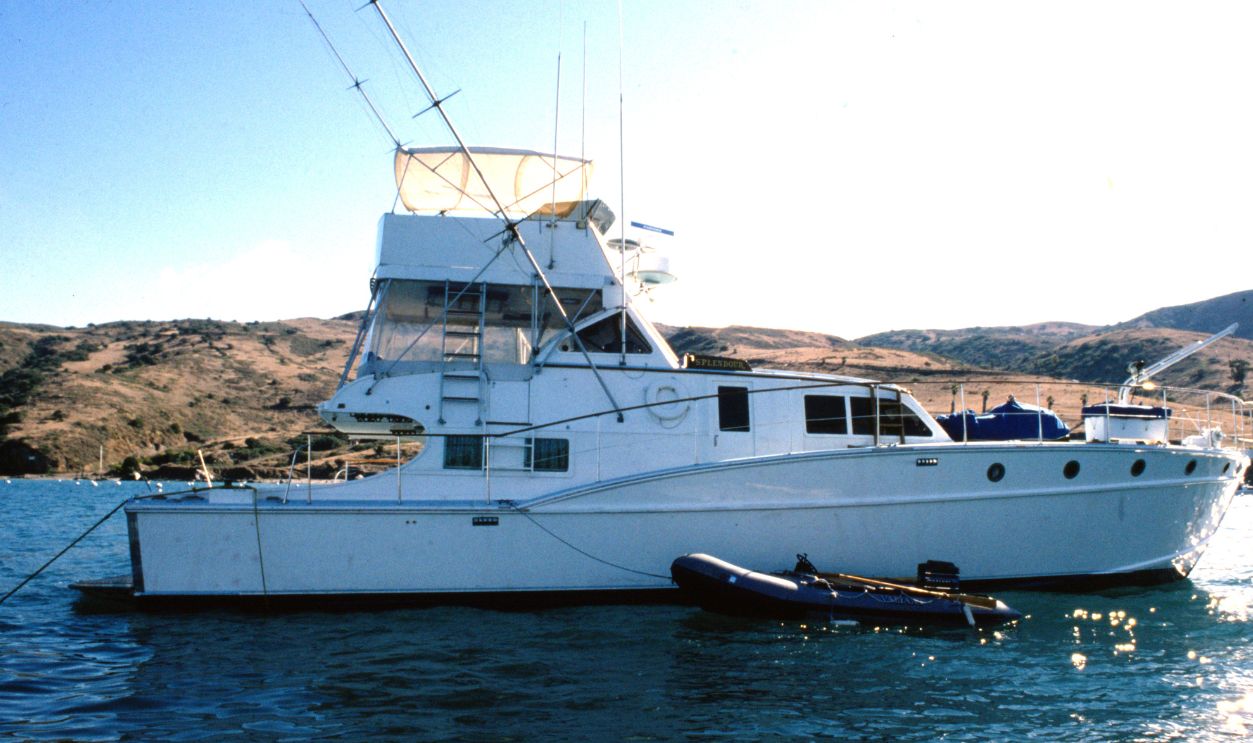 Splendor Natalie Wood