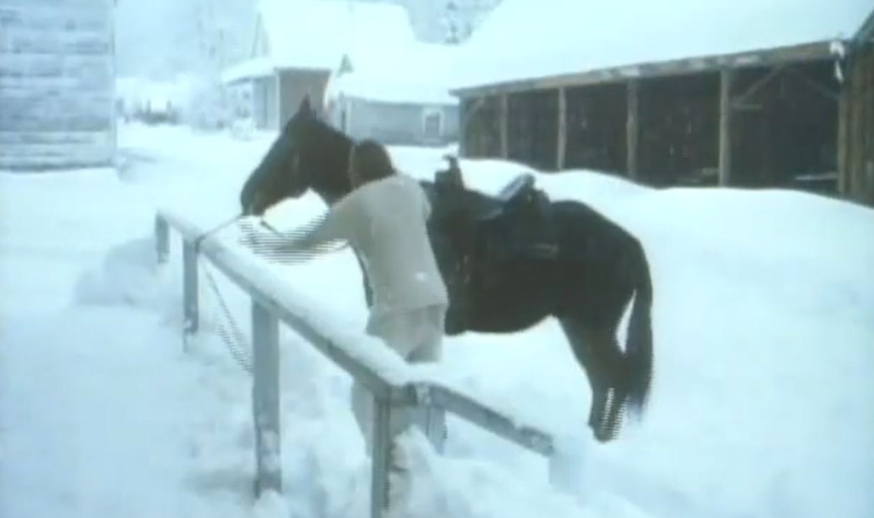 Trouble With The Law As A Teenager