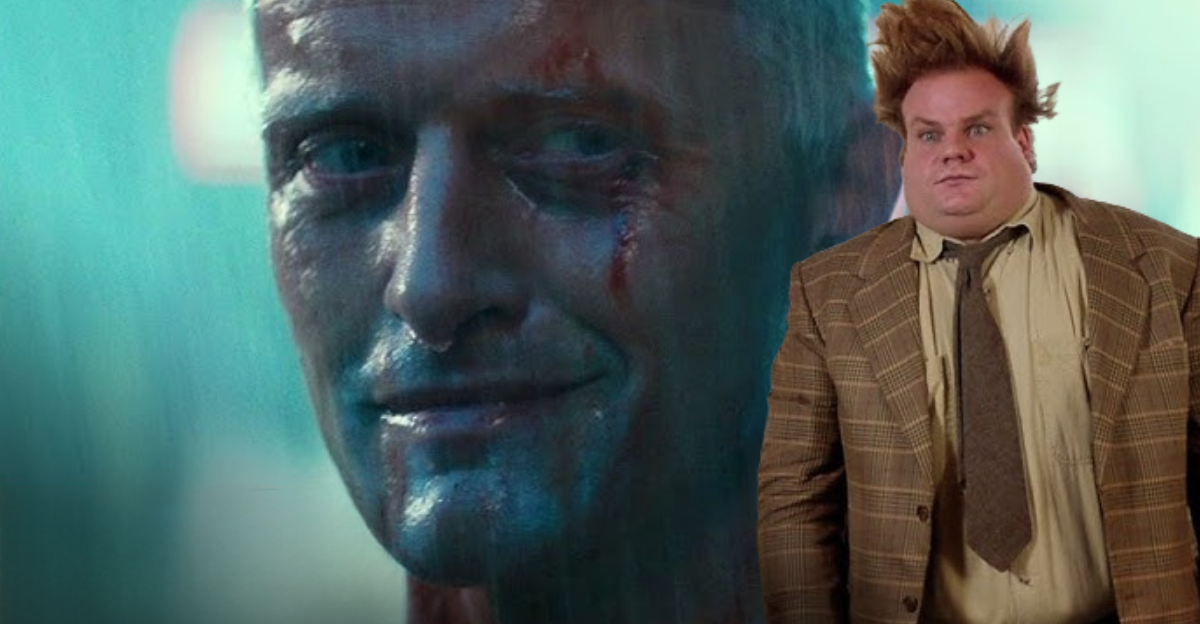 Cult Movies Flops Msn