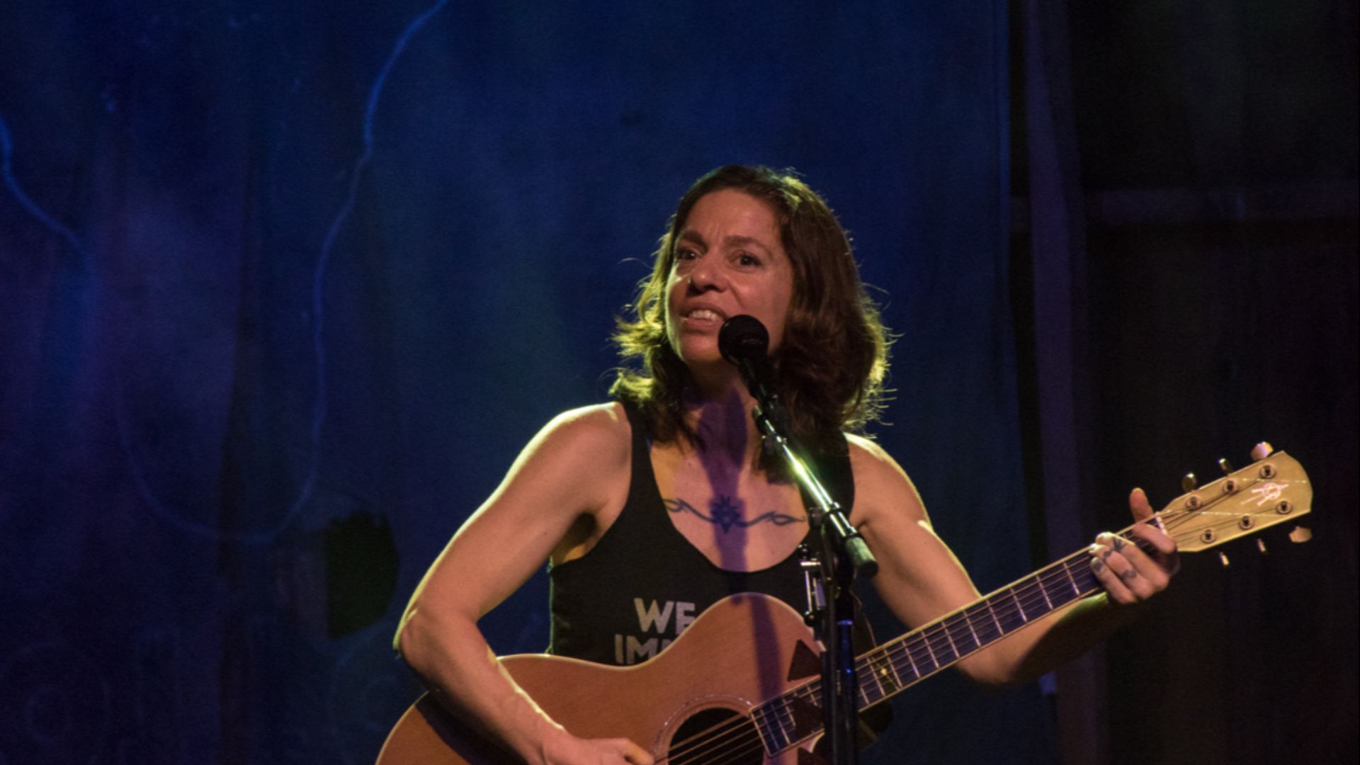 File:Ani Difranco-25 (48523974602).jpg