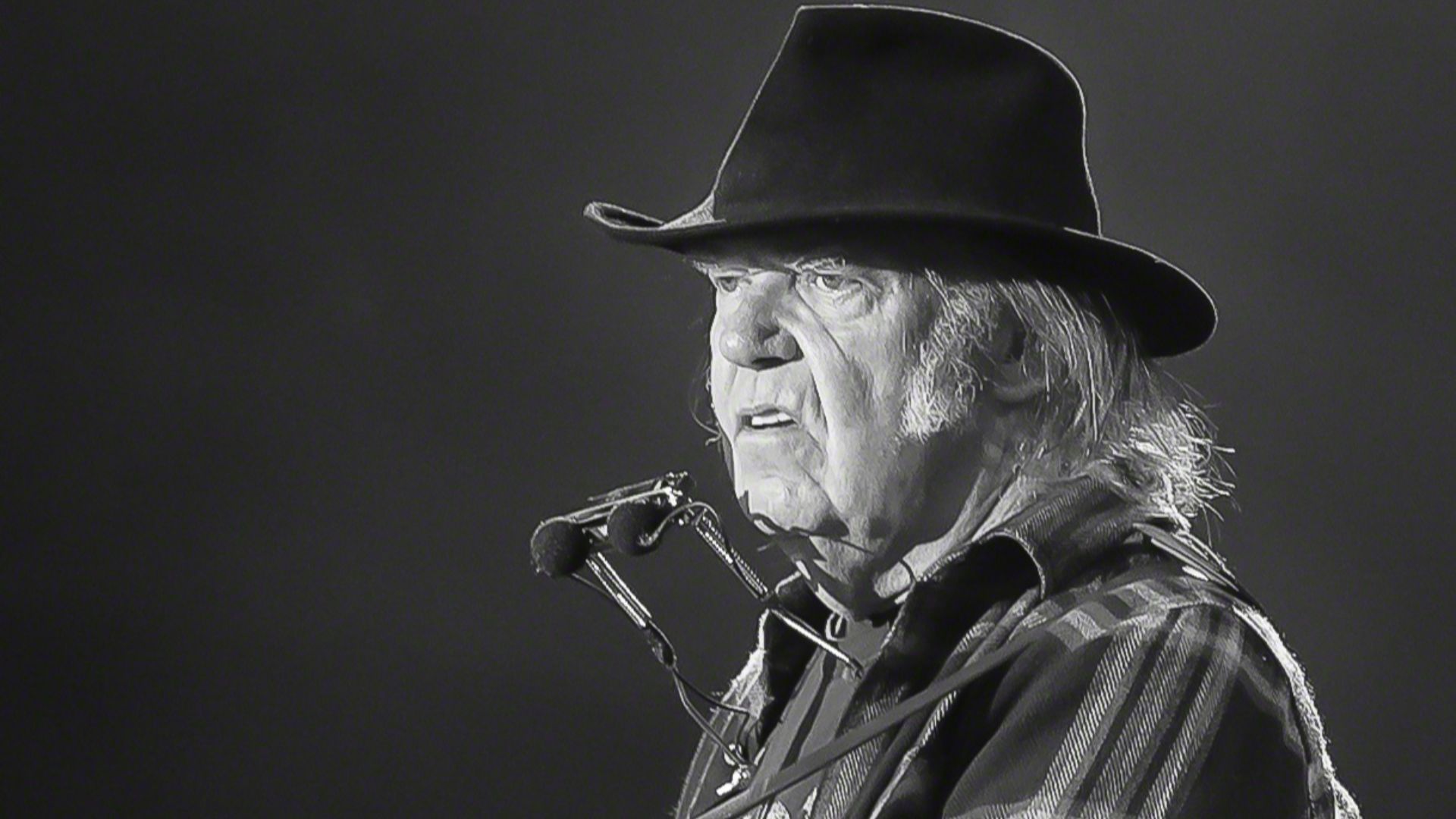 File:Neil Young Stavernfestivalen 2016 (220929).jpg