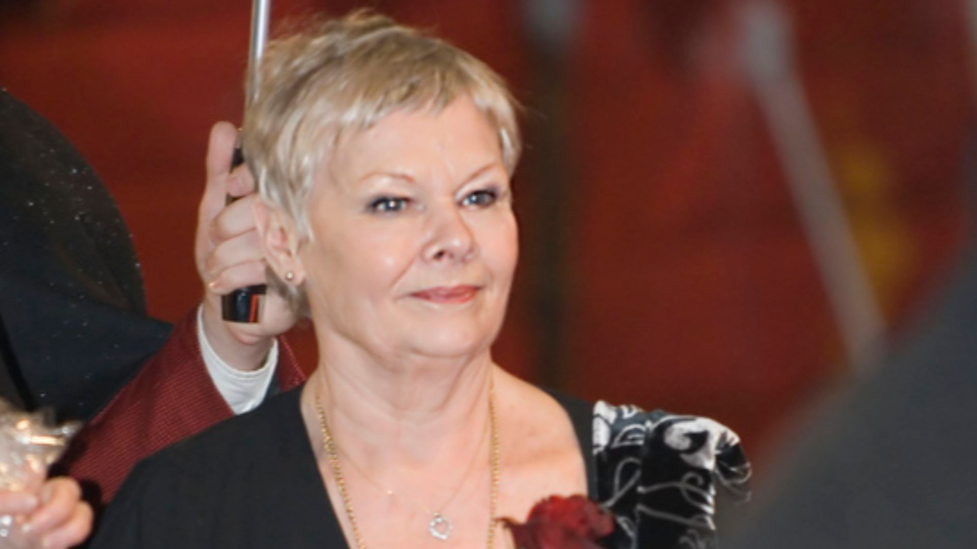 File:Flickr - Siebbi - A rose for Dame Judi Dench.jpg