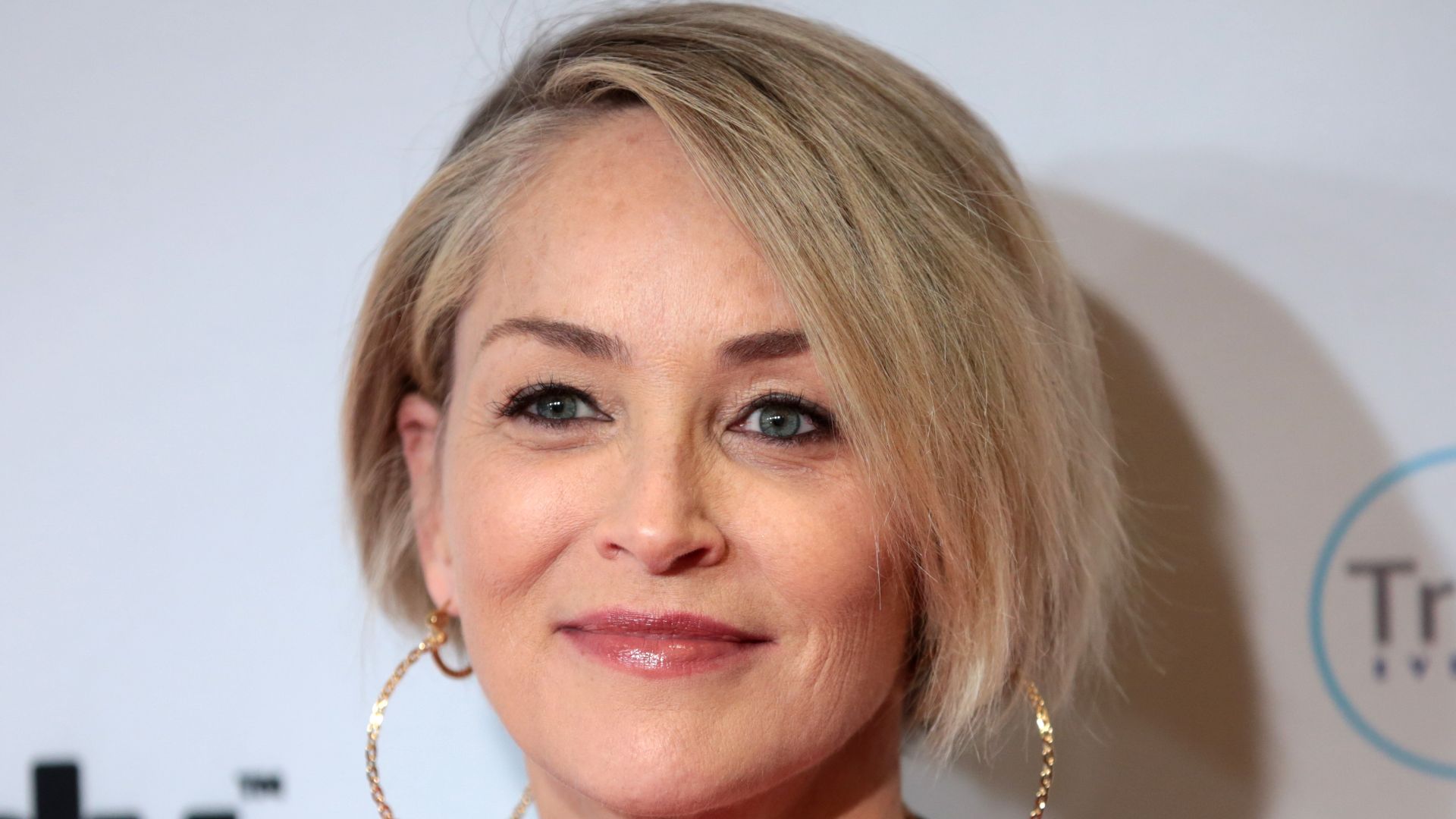 File:Sharon Stone (33374127422).jpg