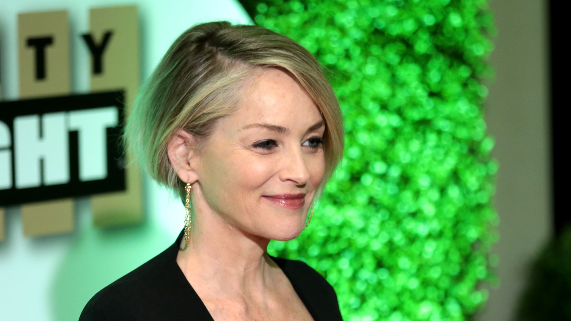 File:Sharon Stone (33402661341).jpg