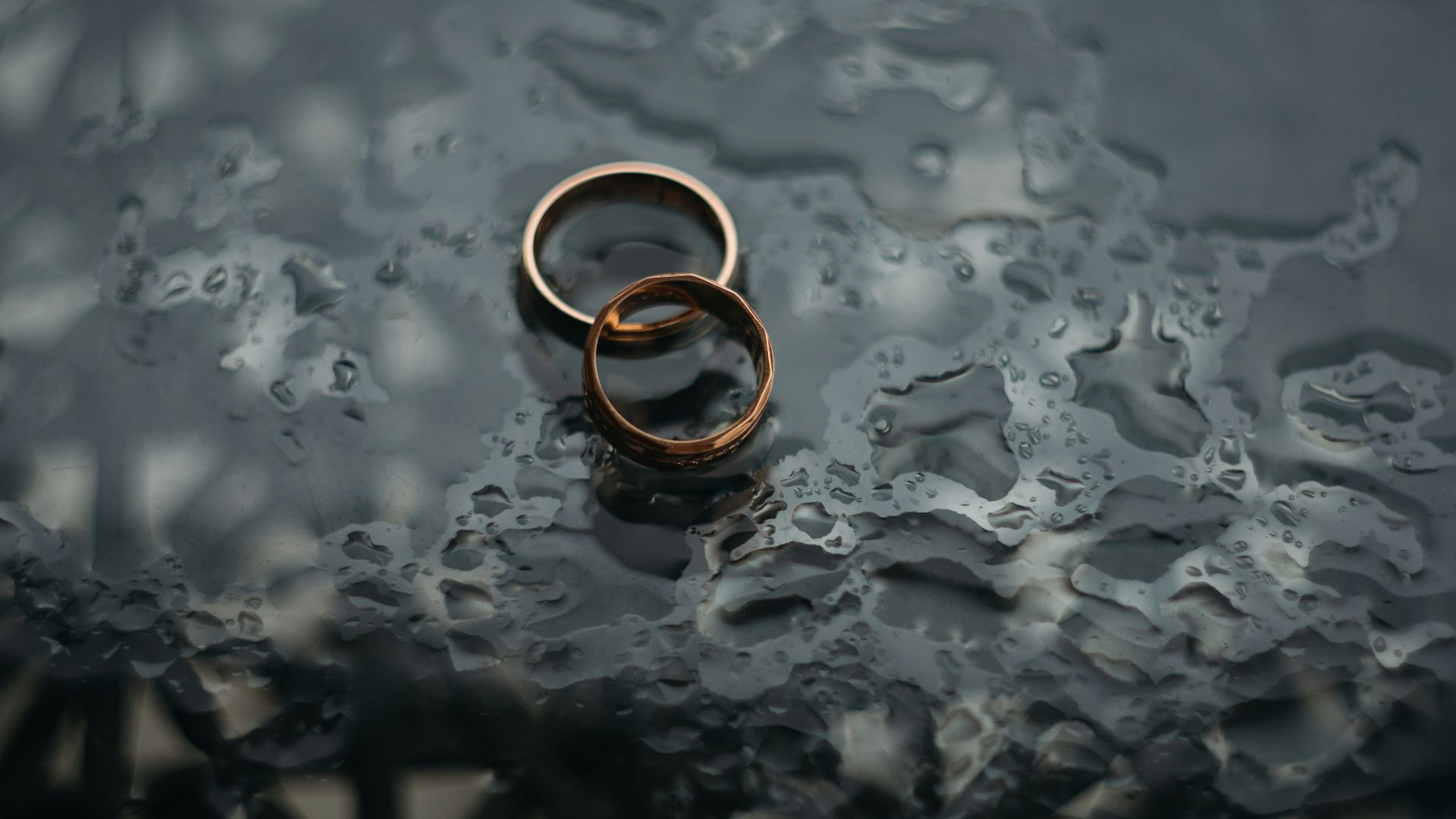 two bronze-colored rings