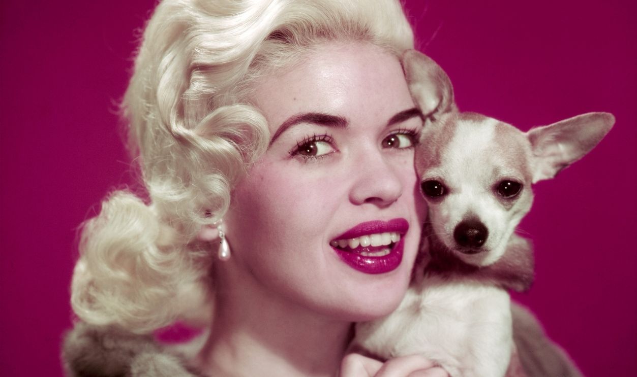 Jayne Mansfield American actress Jayne Mansfield (1933 - 1967) with a chihuahua, circa 1955.