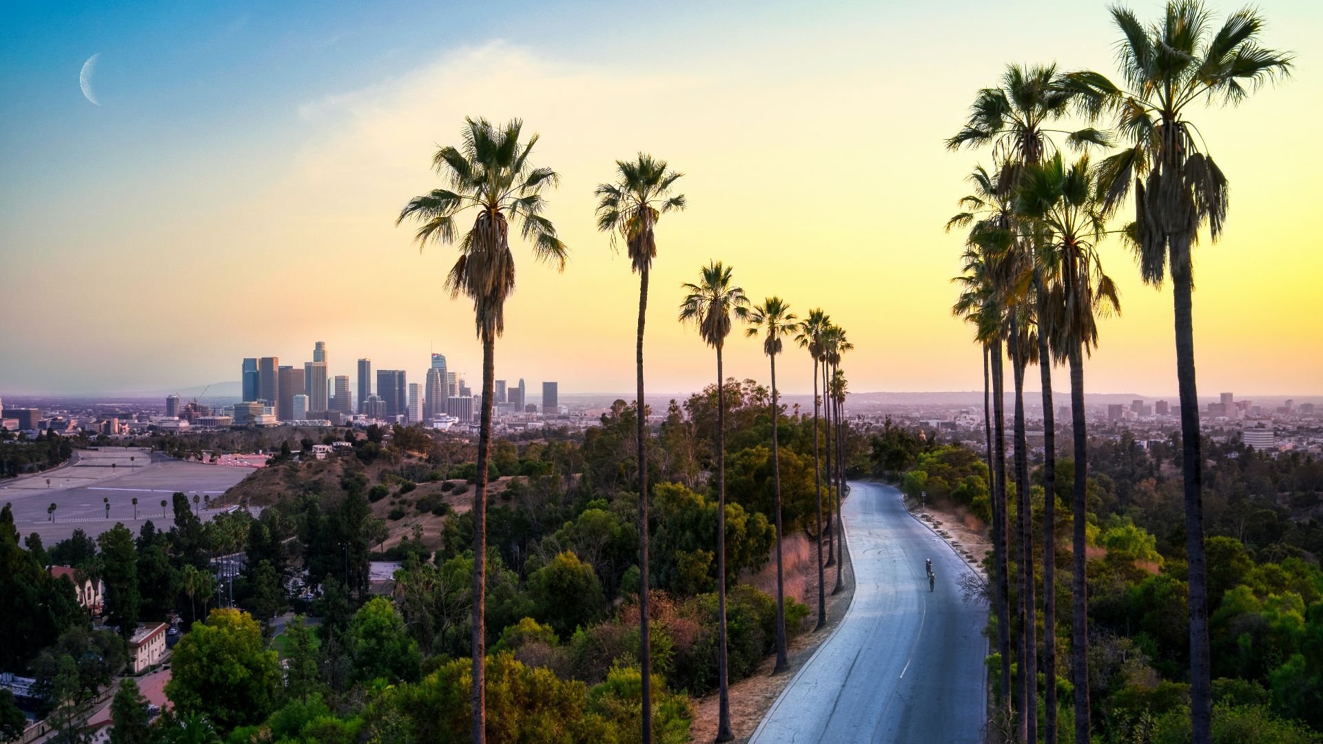 green palm trees near city buildings during daytime