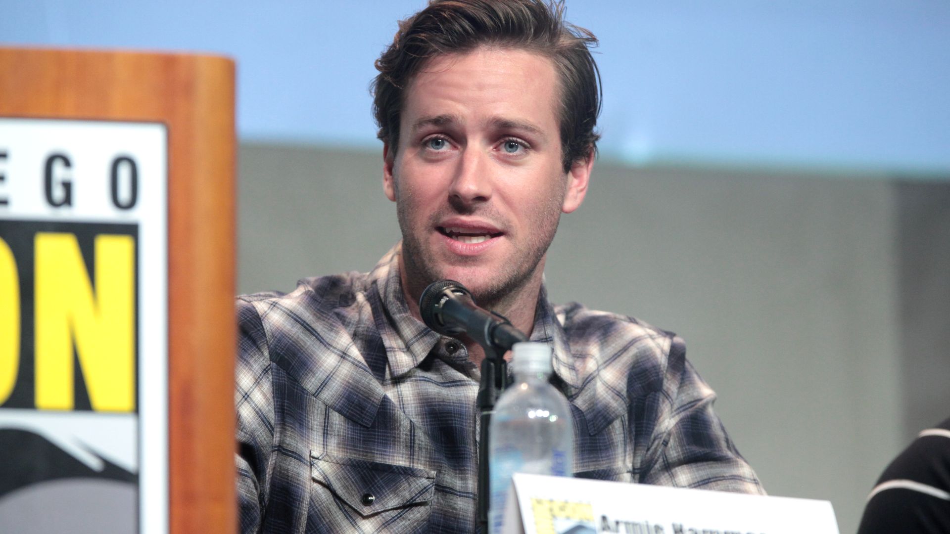 File:SDCC 2015 - Armie Hammer (19509881830).jpg