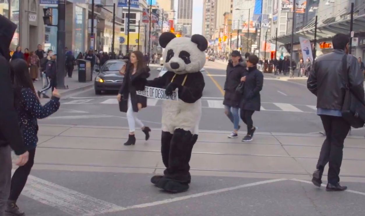 Screenshot from Panda (2016)