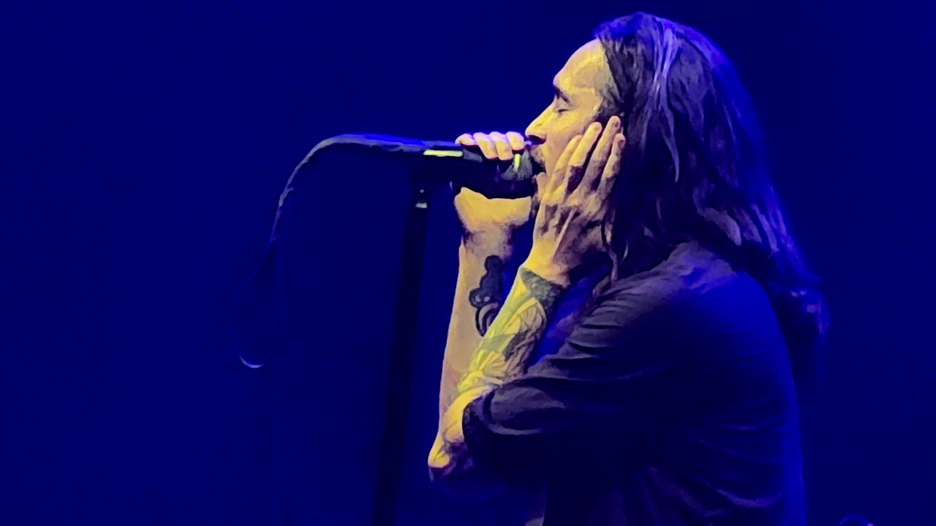 File:Incubus performing at Caesars Windsor, 2023-08-05 08.jpg