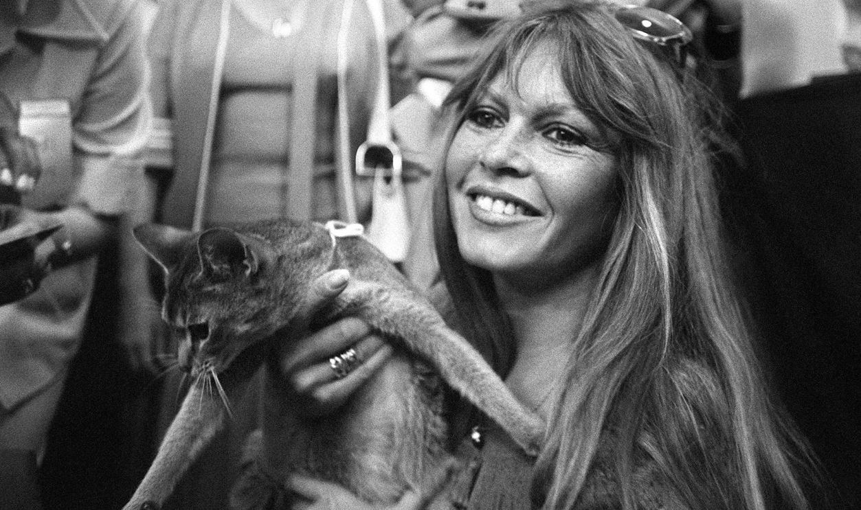 180207483 Brigitte Bardot