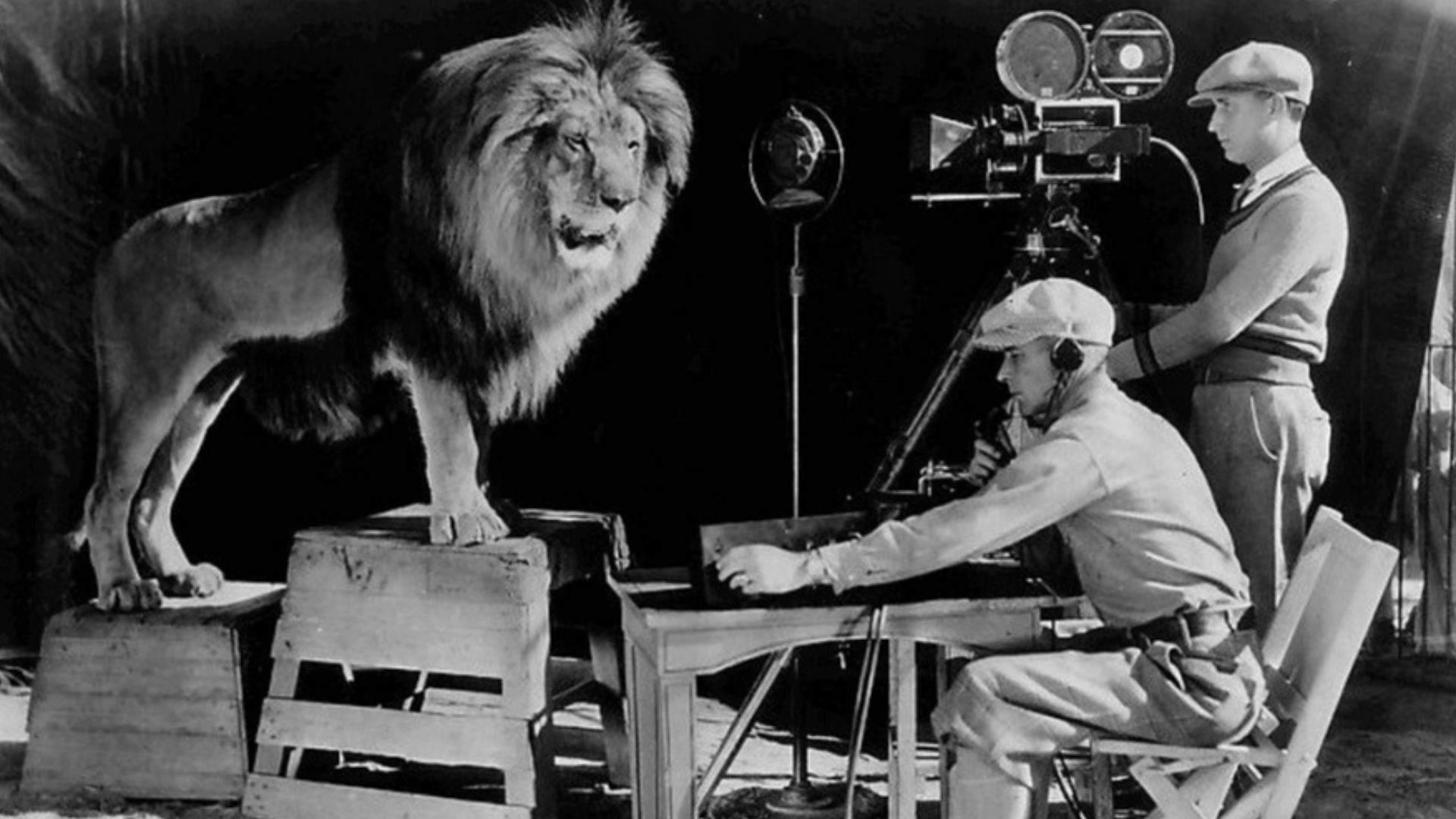 File:Leo the MGM lion 1928.jpg
