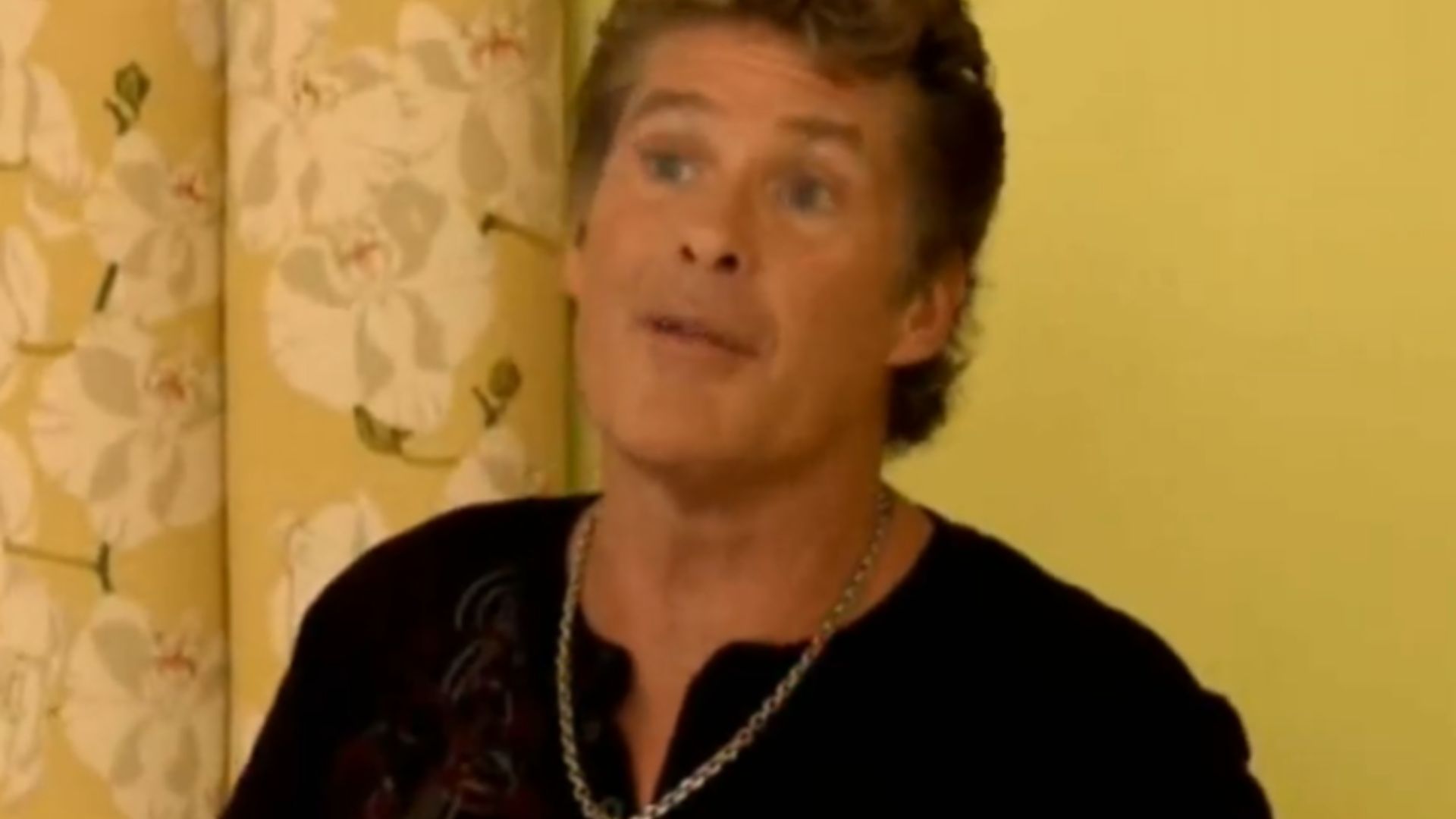 The Hasselhoffs (2010)