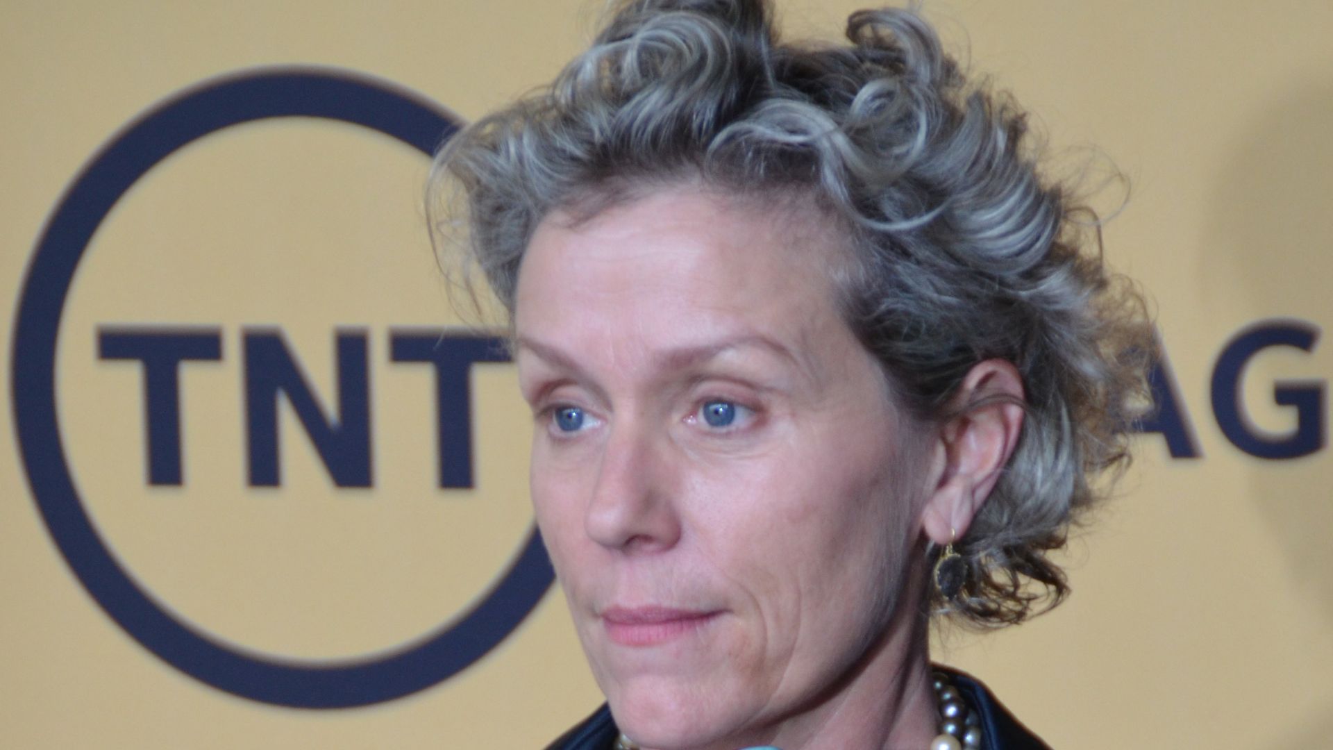 File:Frances McDormand 2015.jpg
