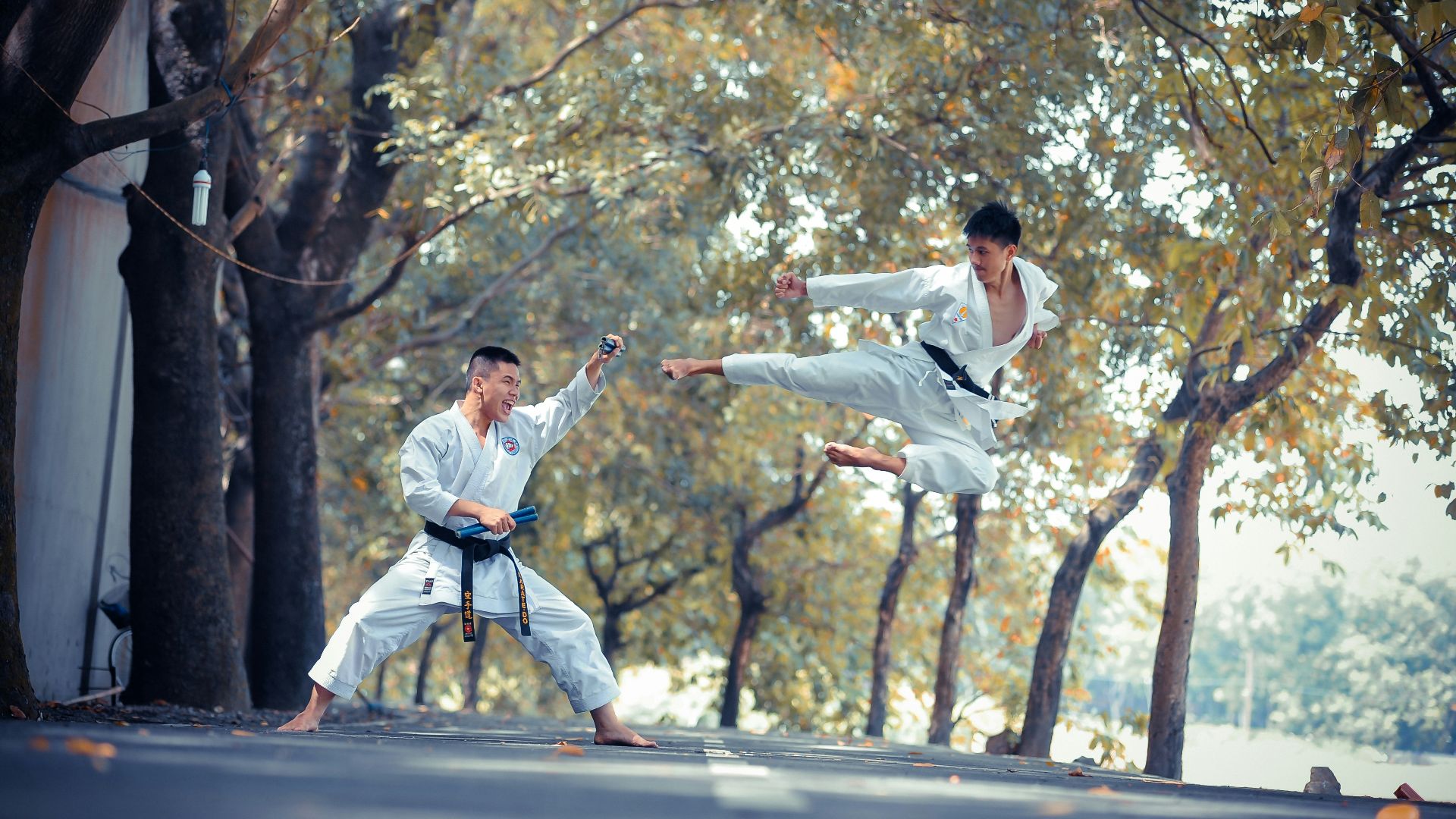 two men performing karate near trees during daytime