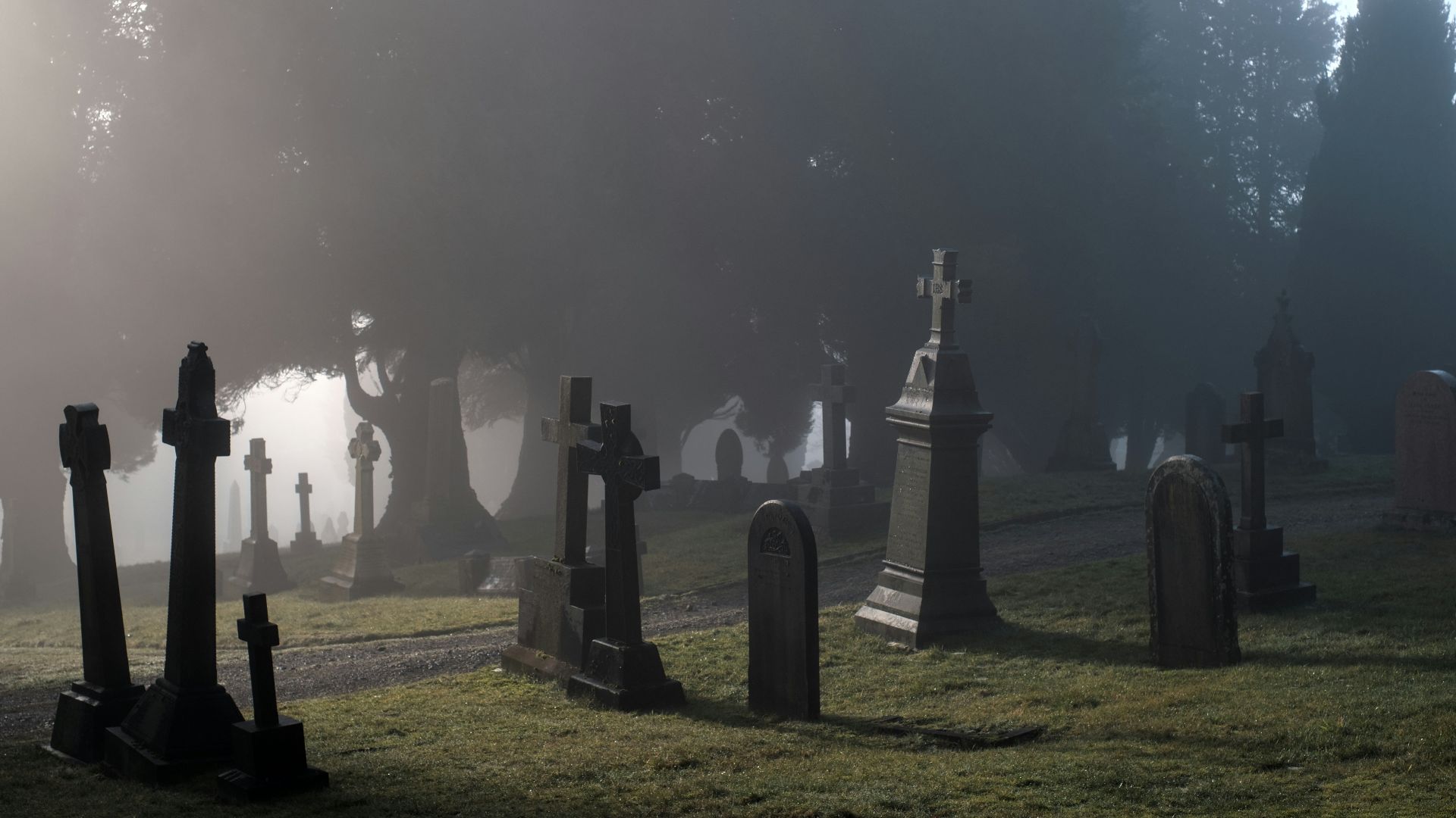 a foggy graveyard with tombstones in the foreground
