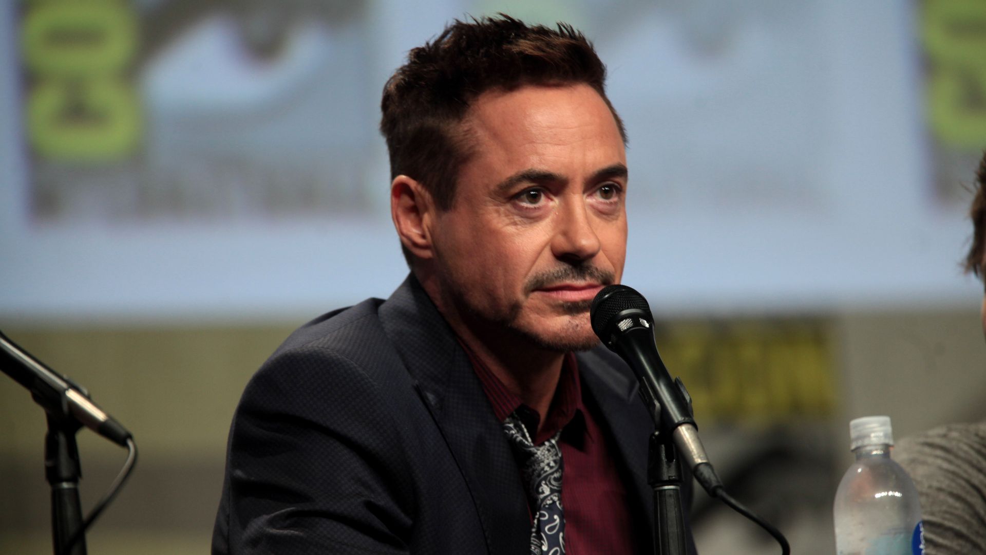 File:Robert Downey Jr 2014 Comic Con.jpg