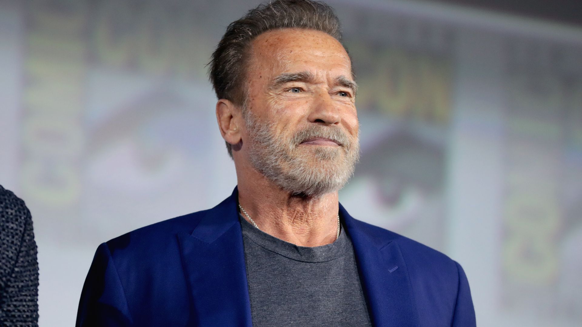 File:Arnold Schwarzenegger (48355004472).jpg