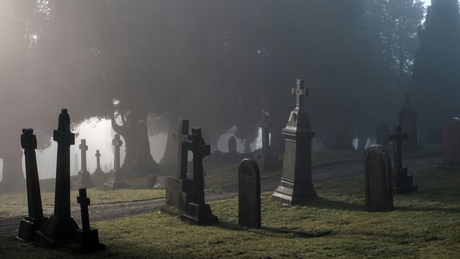 a foggy graveyard with tombstones in the foreground