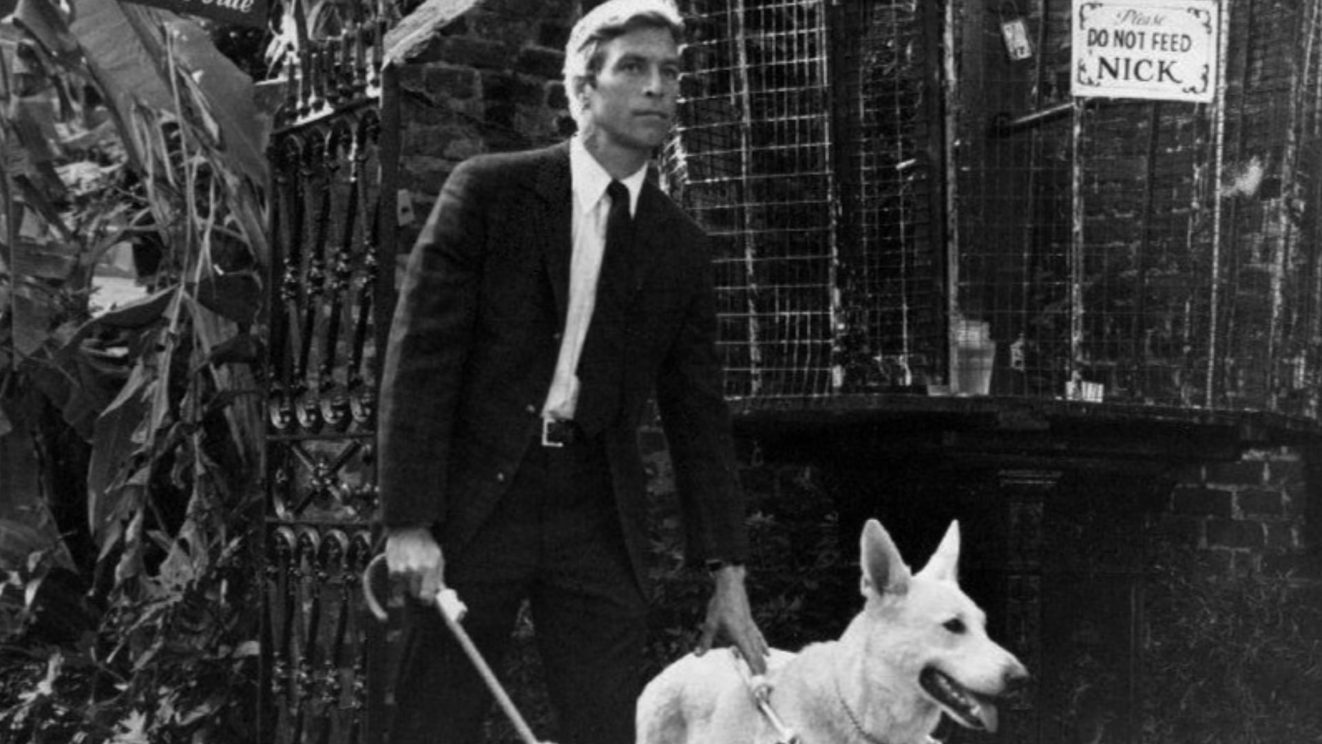 Publicity photo of James Franciscus from Longstreet.