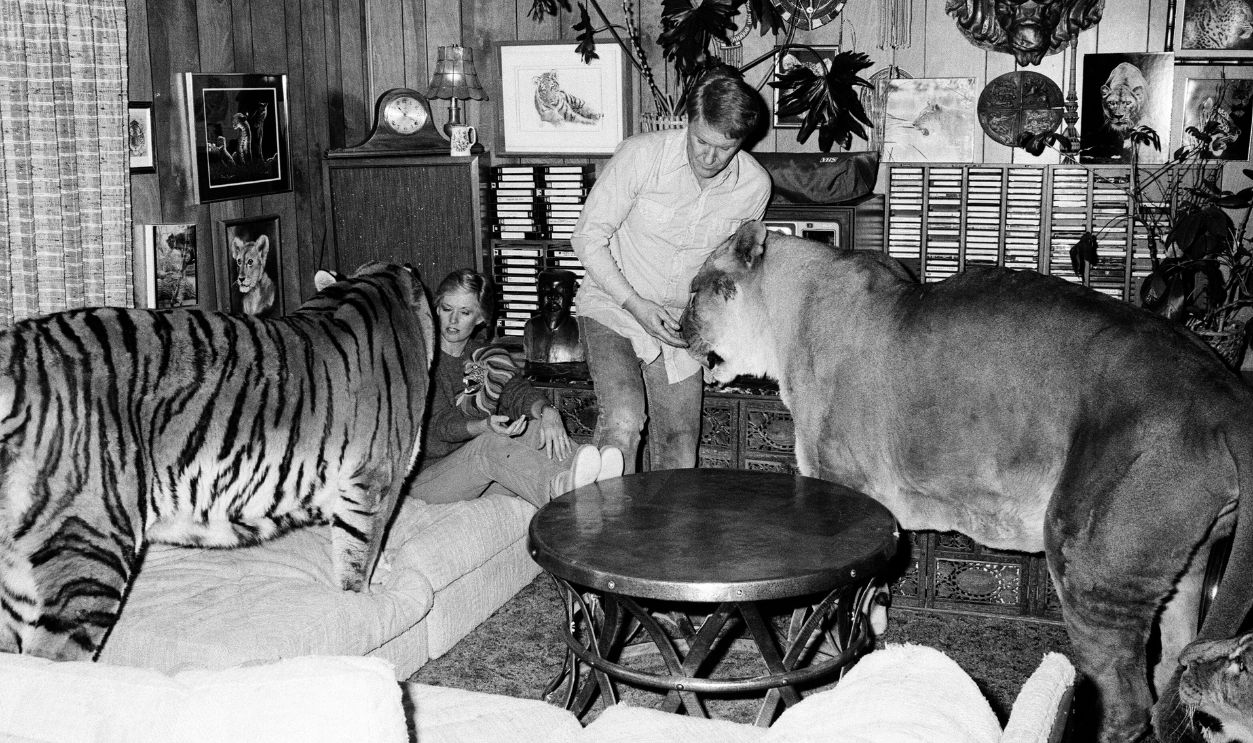 Noel Marshall and Tippi Hedren with their animals on their San Fernando Valley compound. 25th January 1982.