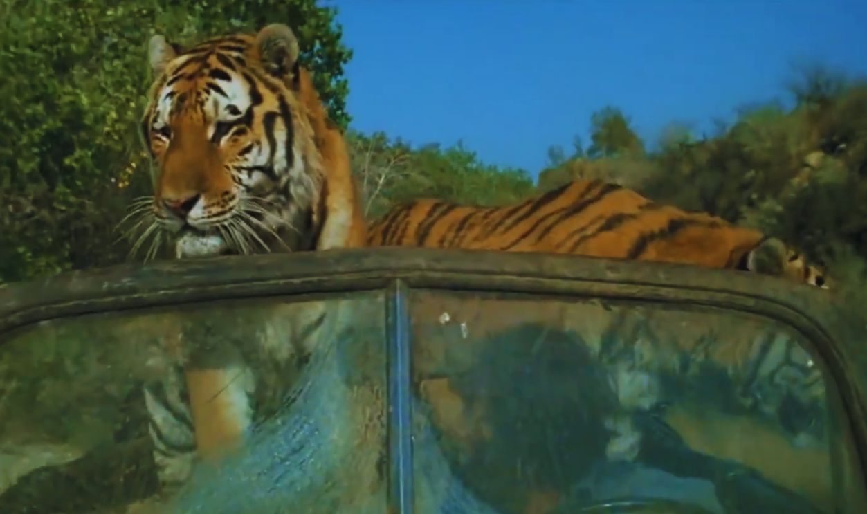 Screenshot from Roar (1981)