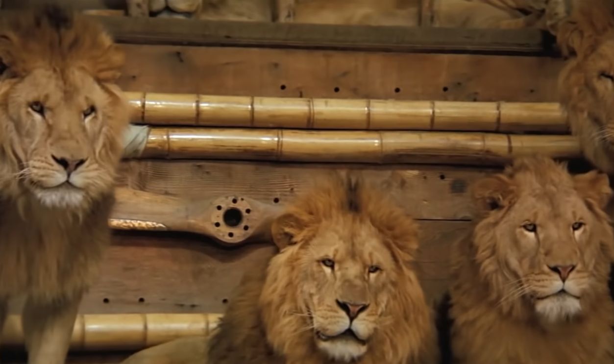 Screenshot from Roar (1981)