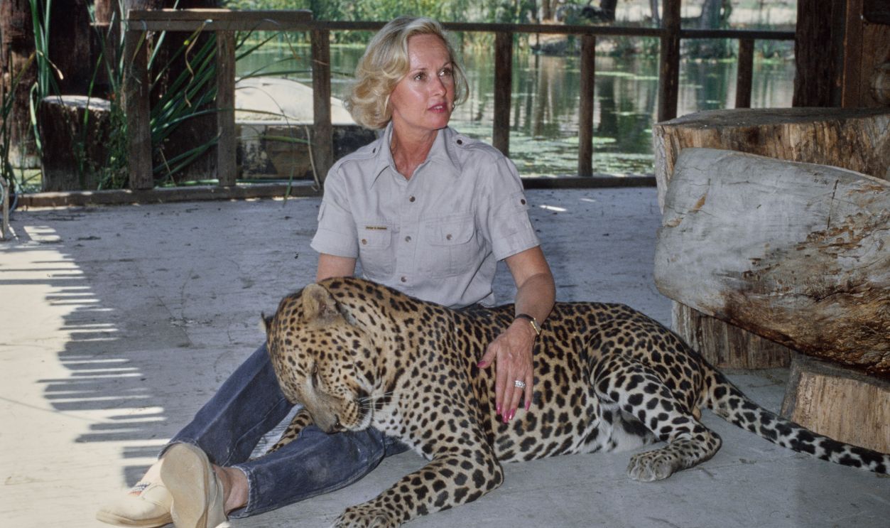 American actress Tippi Hedren, wearing a grey short-sleeve shirt and jeans, reclining beside a leopard at the Shambala Preserve, in Acton, California, February 1982. Hedren founded the animal sanctuary to 'educate the public about the dangers of private ownership of exotic animals.'