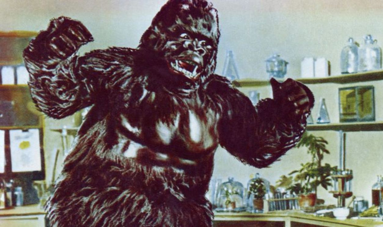 Konga, lobbycard, Margo Johns, 1961. (Photo by LMPC via Getty Images)