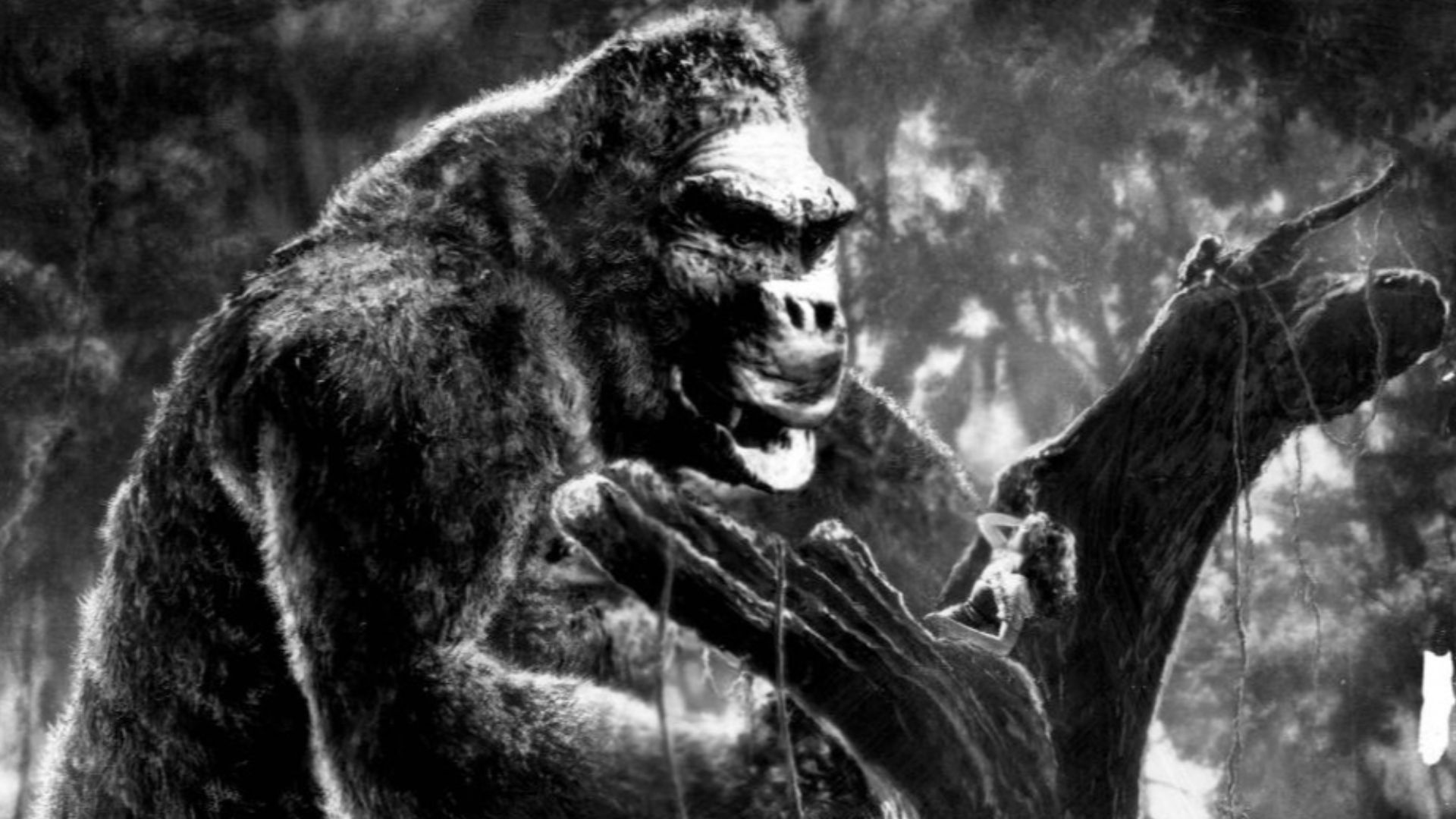 Publicity photo of American actress Fay Wray promoting the 1933 feature film King Kong.