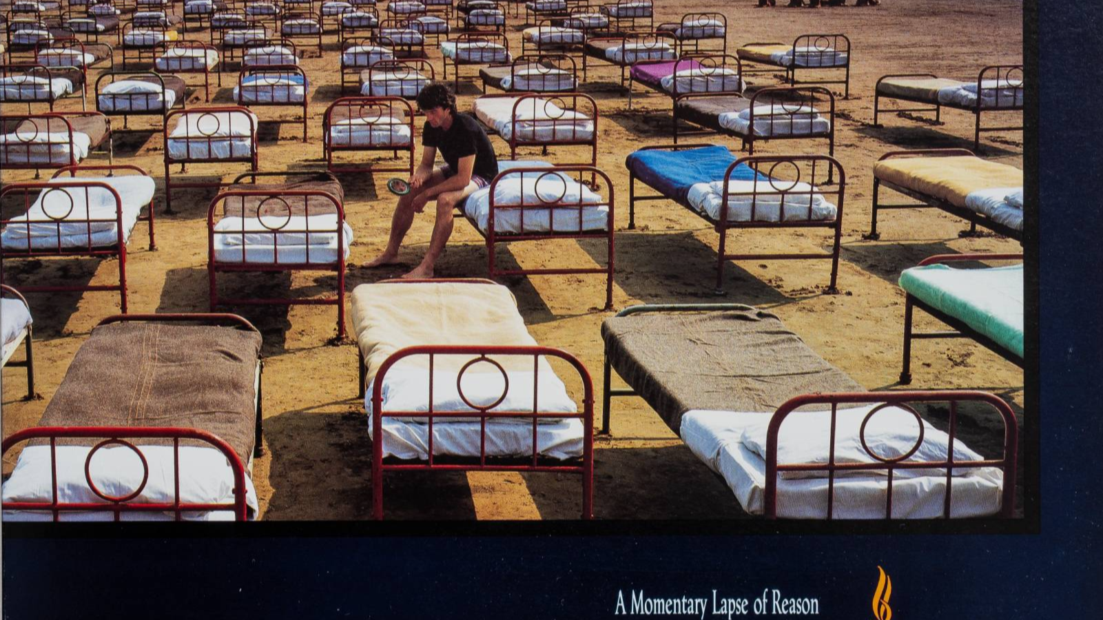 A Momentary Lapse of Reason