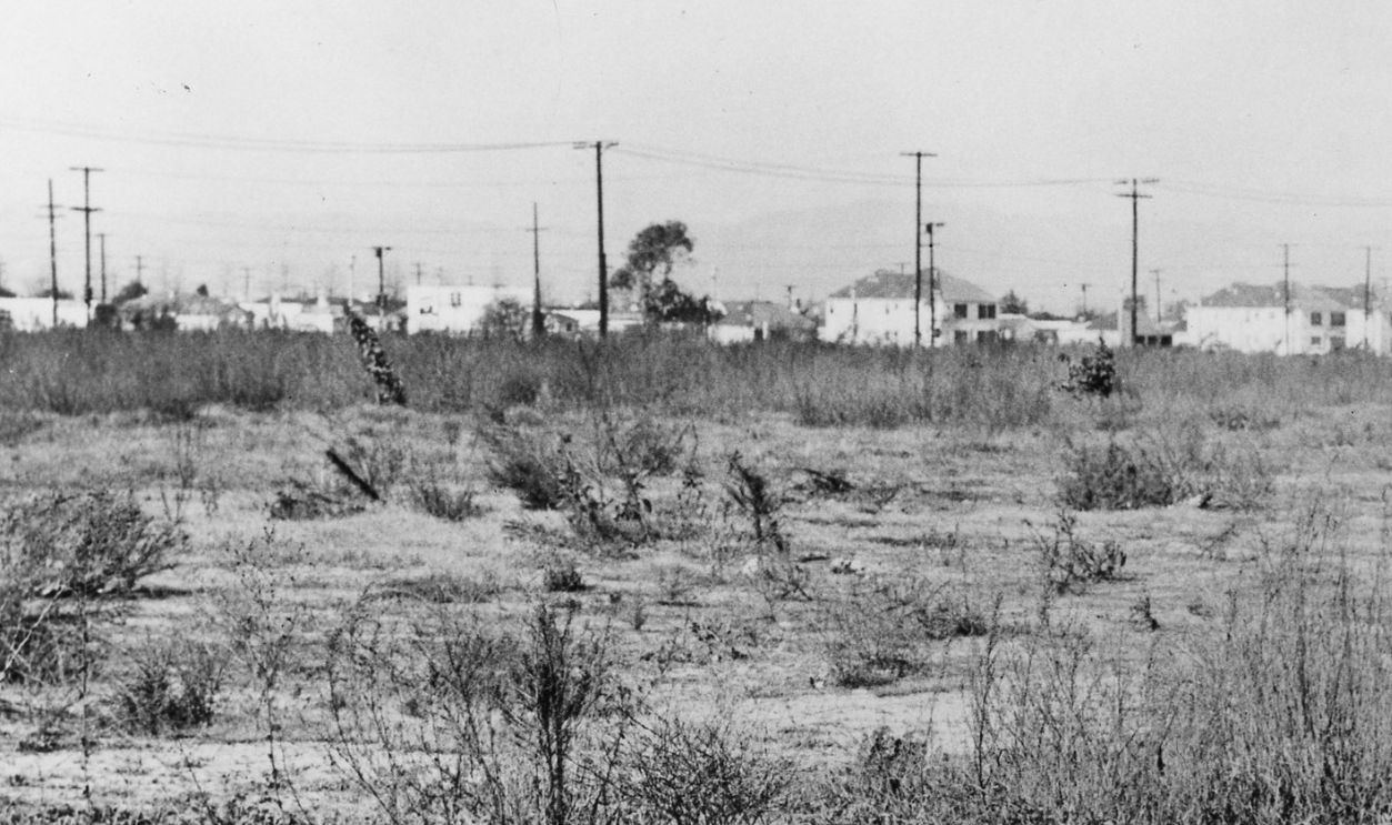 A photo of the crime scene of Elizabeth Short, also known as the Black Dahli