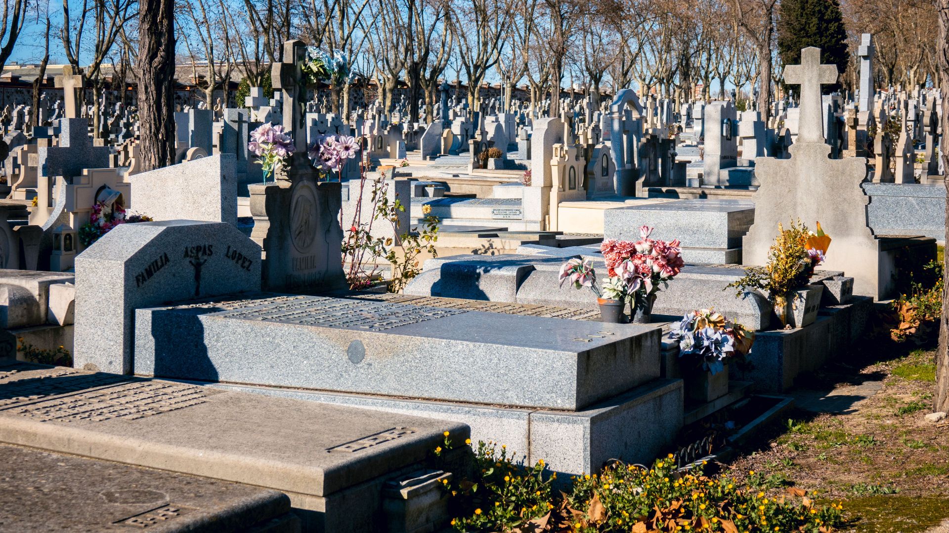 Sunlit cemetery adorned with tombstones and flower arrangements during autumn.